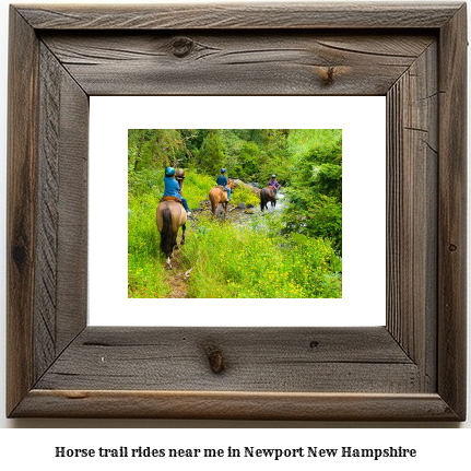 horse trail rides near me in Newport, New Hampshire